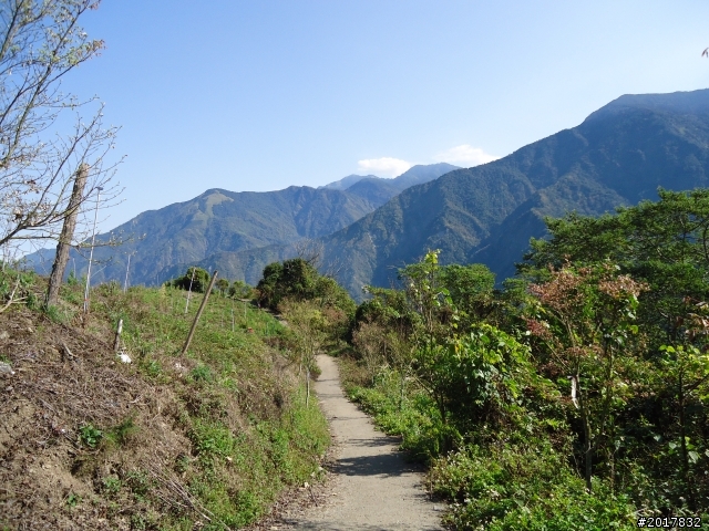 2012-3-5~3-6台21線部落之旅(麟趾山-望美山)馬奴多斯獵人古道