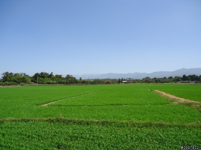 2012-3-5~3-6台21線部落之旅(麟趾山-望美山)馬奴多斯獵人古道
