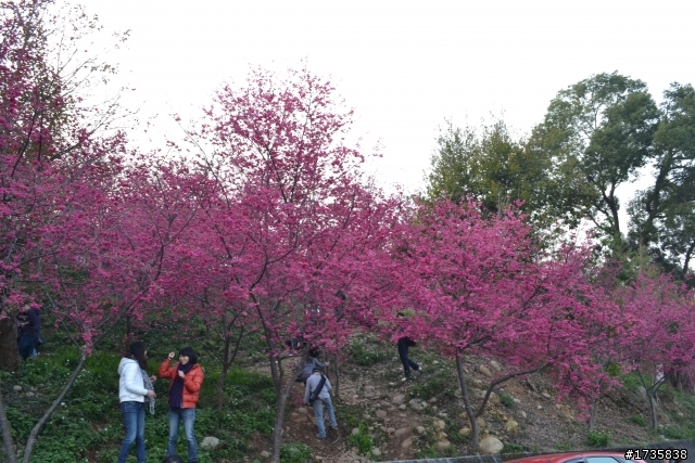 D3100新手拍照，請各位給點建議吧。