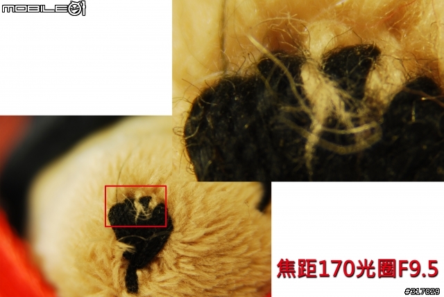[開箱+測試] Kenko MC4 DGX 2X 增距鏡 2倍加倍鏡