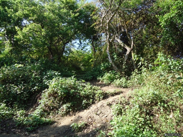 2012-3-5~3-6台21線部落之旅(麟趾山-望美山)馬奴多斯獵人古道