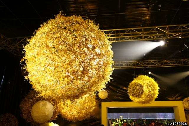 [景點]2012台灣國際蘭展(已結束)