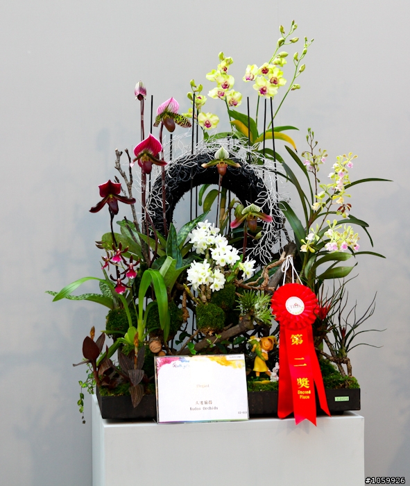 [景點]2012台灣國際蘭展(已結束)