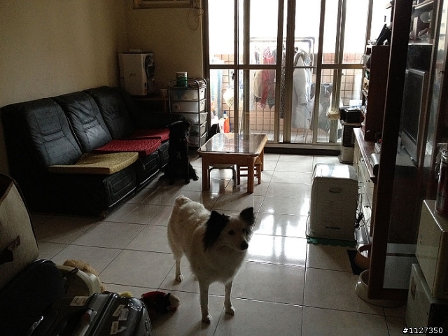 【分享】2/25~29 環境因素強迫殘念環島行(更新於3/10)