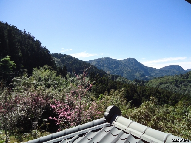 2012-3-5~3-6台21線部落之旅(麟趾山-望美山)馬奴多斯獵人古道