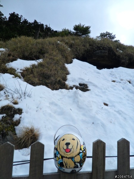 省道一姊奇幻之旅~櫻雪願望情人節一次滿足。