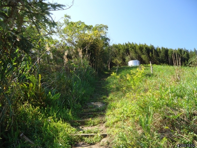 2012-3-5~3-6台21線部落之旅(麟趾山-望美山)馬奴多斯獵人古道
