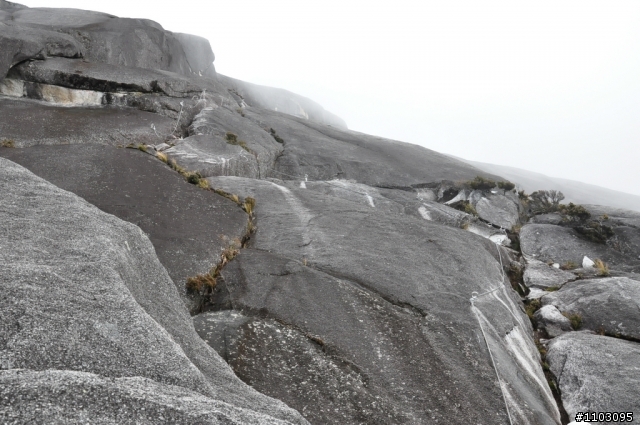 [神山-沙巴] 神山加碼極限攀岩Via Ferrata-Low's Peak Circuit 差點回不來了20120228