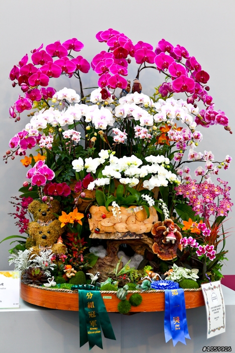 [景點]2012台灣國際蘭展(已結束)