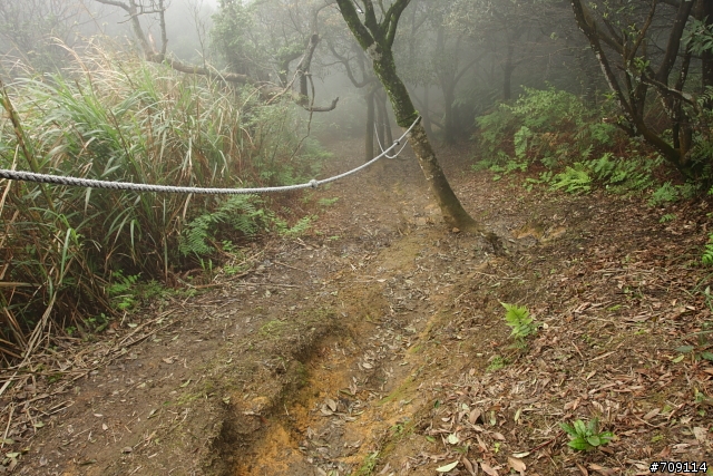 [ 郊山 ] 大尖山順走四分尾山之殘櫻行