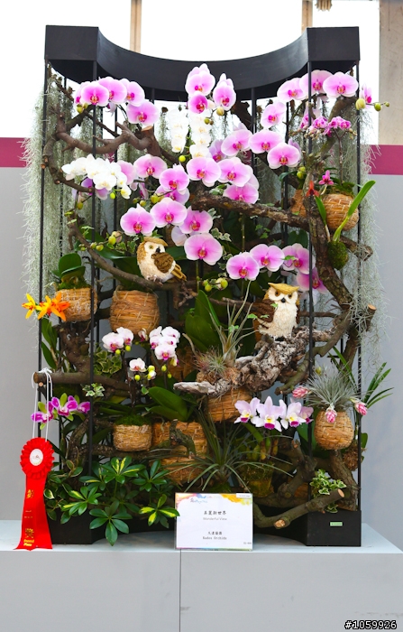 [景點]2012台灣國際蘭展(已結束)