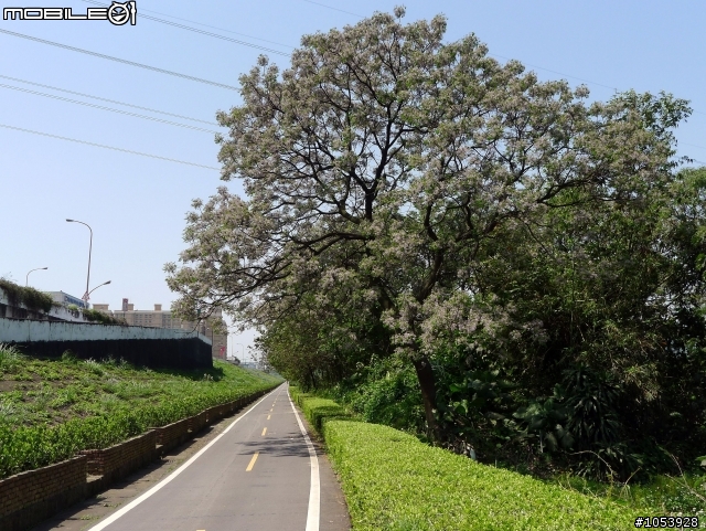 三峽熊空春遊記