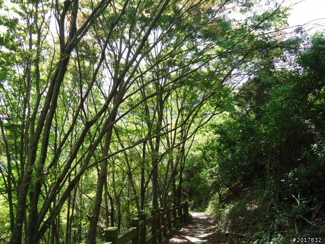 2012-3-5~3-6台21線部落之旅(麟趾山-望美山)馬奴多斯獵人古道