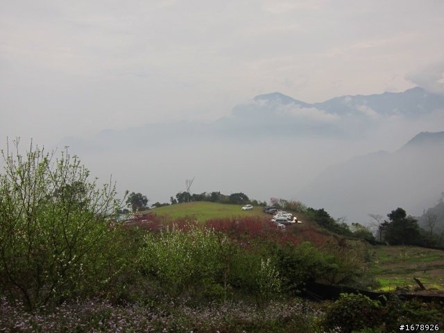 2月-屏東-瑪家鄉-桃花園(源)
