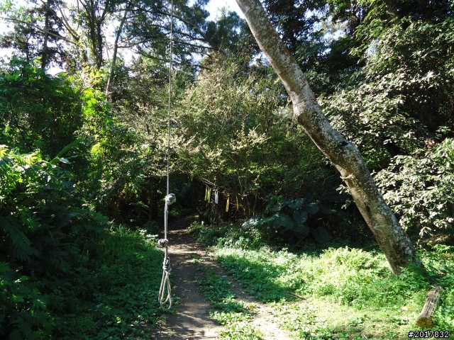 2012-3-5~3-6台21線部落之旅(麟趾山-望美山)馬奴多斯獵人古道