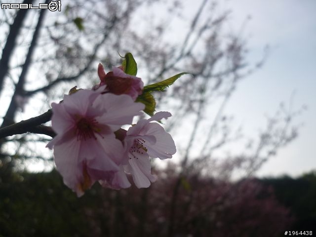 20120304-久違了，北宜公路