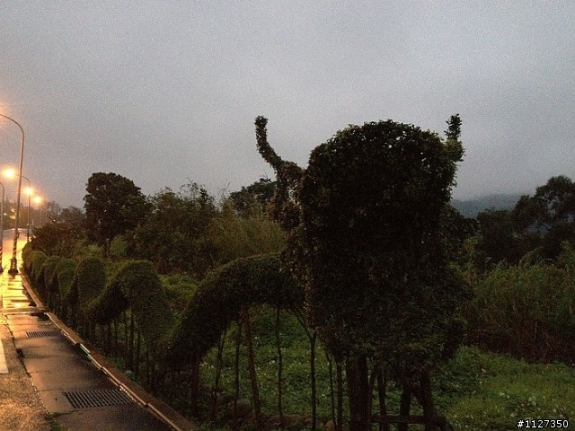 【分享】2/25~29 環境因素強迫殘念環島行(更新於3/10)