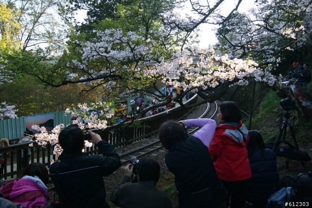 3月17~18~高雄→阿里山