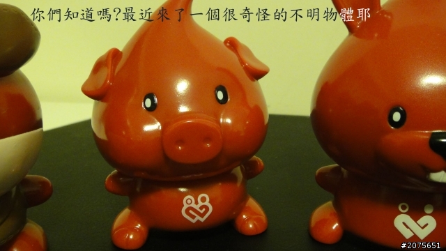 5D3(吳荻珊)之可愛開箱!來看看哦!