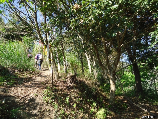 2012-3-5~3-6台21線部落之旅(麟趾山-望美山)馬奴多斯獵人古道