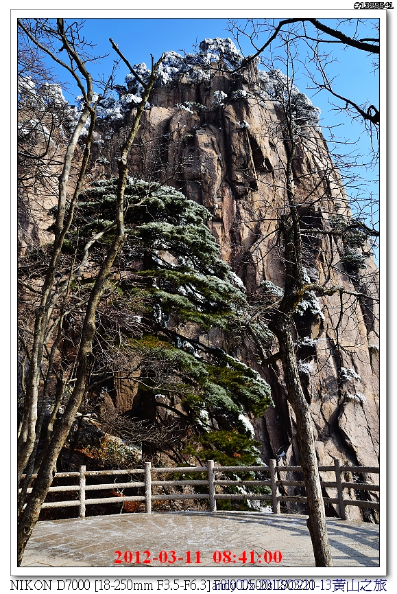 大陸黃山自助五日行