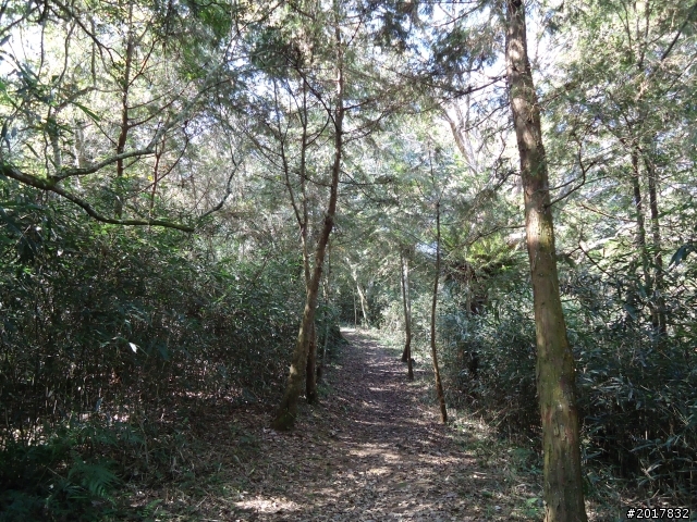 2012-3-5~3-6台21線部落之旅(麟趾山-望美山)馬奴多斯獵人古道