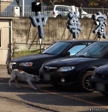 Mazda的前保險桿好弱...