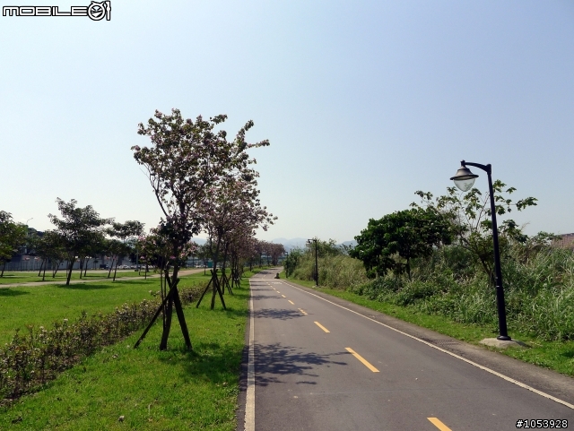 三峽熊空春遊記