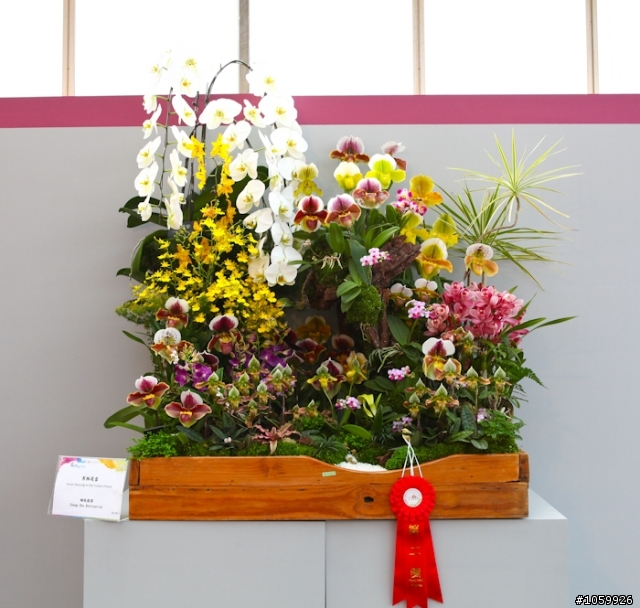[景點]2012台灣國際蘭展(已結束)