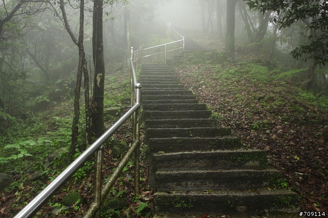[ 郊山 ] 大尖山順走四分尾山之殘櫻行