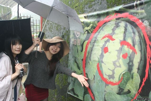 幸福的內湖草莓之旅