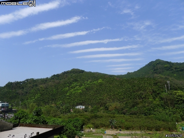 三峽熊空春遊記