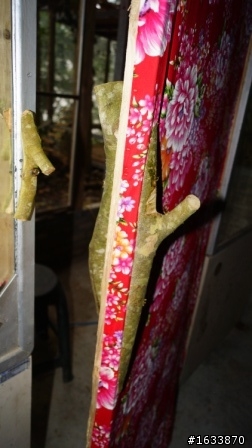 DIY簡單蓋鋼構木屋