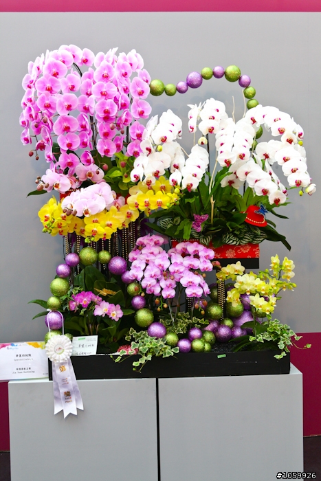 [景點]2012台灣國際蘭展(已結束)