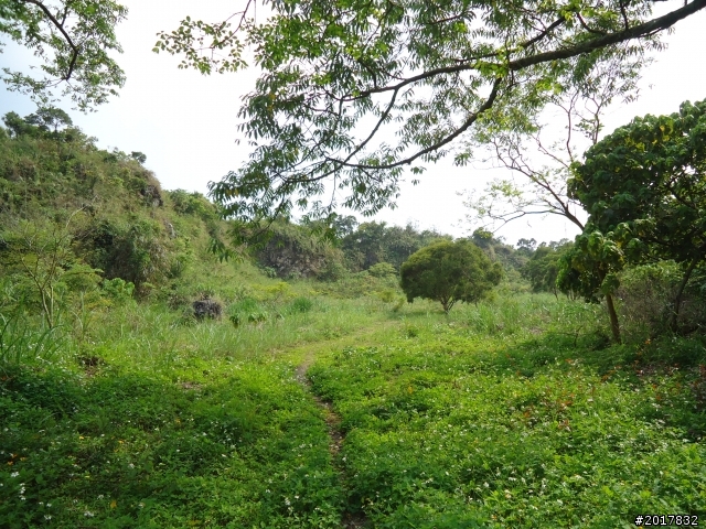 2012-3-16關仔嶺枕頭山