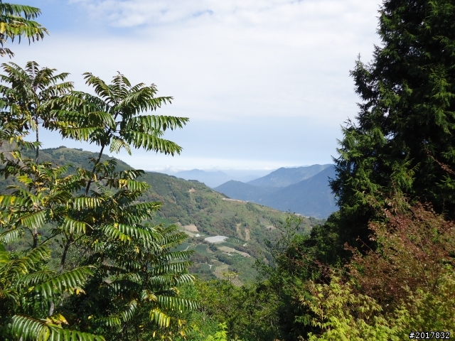 2012-3-5~3-6台21線部落之旅(麟趾山-望美山)馬奴多斯獵人古道