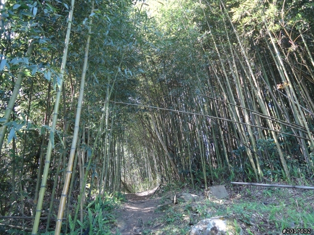 2012-3-5~3-6台21線部落之旅(麟趾山-望美山)馬奴多斯獵人古道