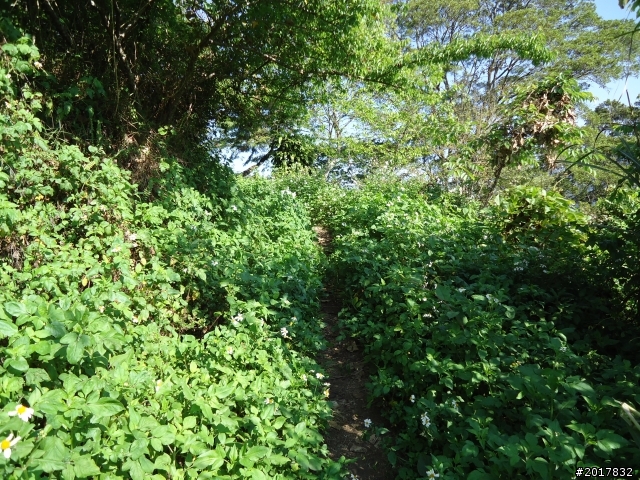 2012-3-5~3-6台21線部落之旅(麟趾山-望美山)馬奴多斯獵人古道