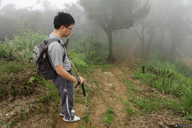 [ 郊山 ] 大尖山順走四分尾山之殘櫻行