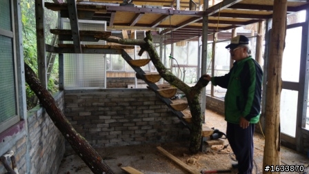  DIY簡單蓋鋼構木屋
