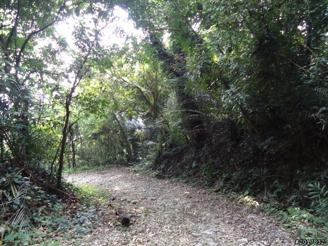 2012-3-16關仔嶺枕頭山