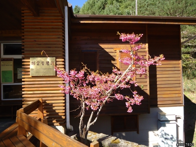 2012-3-5~3-6台21線部落之旅(麟趾山-望美山)馬奴多斯獵人古道