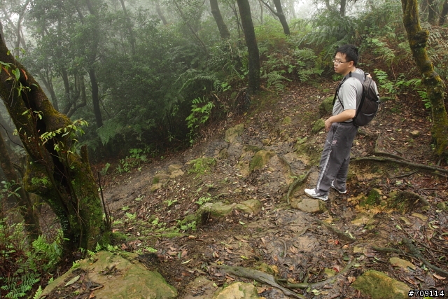 [ 郊山 ] 大尖山順走四分尾山之殘櫻行