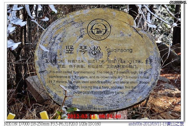 大陸黃山自助五日行