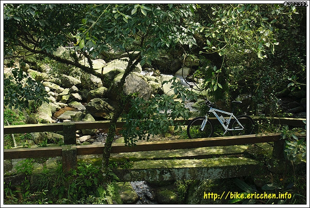 [Eric的單車日記] 紅櫻新綠 春山探秘 (天元宮滿開)