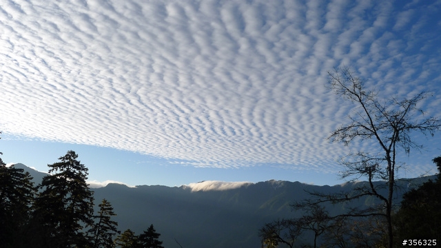 《白色的奇萊，湧動的雲瀑》0~3275M 的悸動，中橫東進。