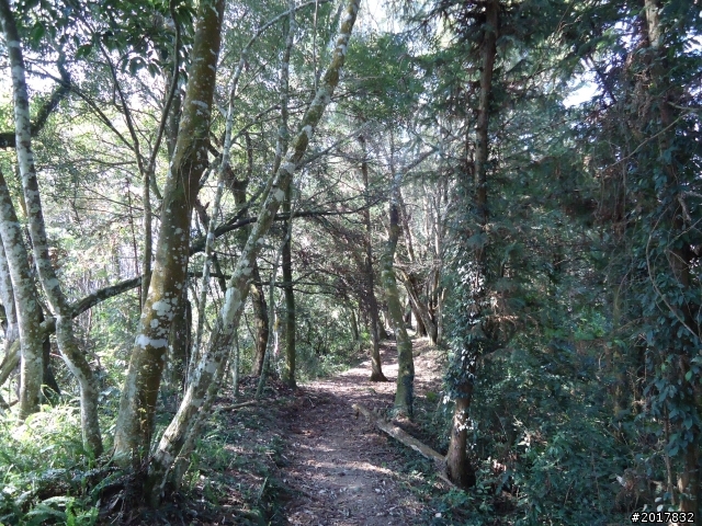 2012-3-5~3-6台21線部落之旅(麟趾山-望美山)馬奴多斯獵人古道