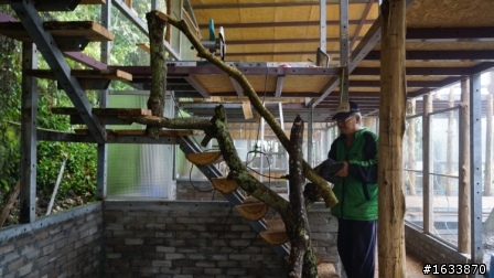  DIY簡單蓋鋼構木屋