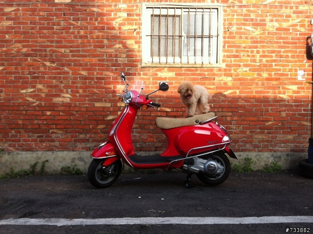 VESPA LX125 紅通通小遊北埔