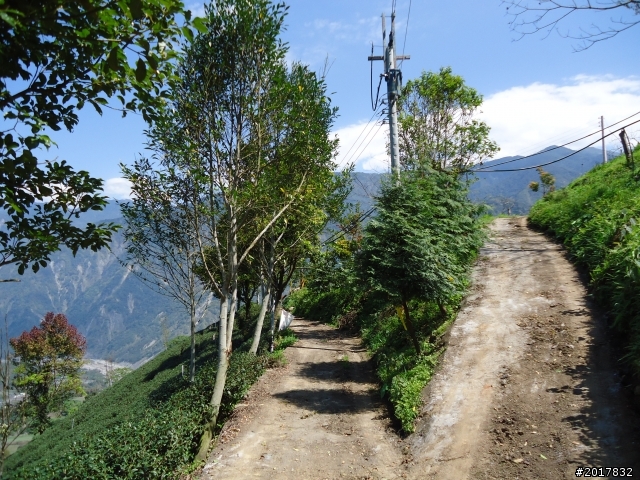 2012-3-5~3-6台21線部落之旅(麟趾山-望美山)馬奴多斯獵人古道
